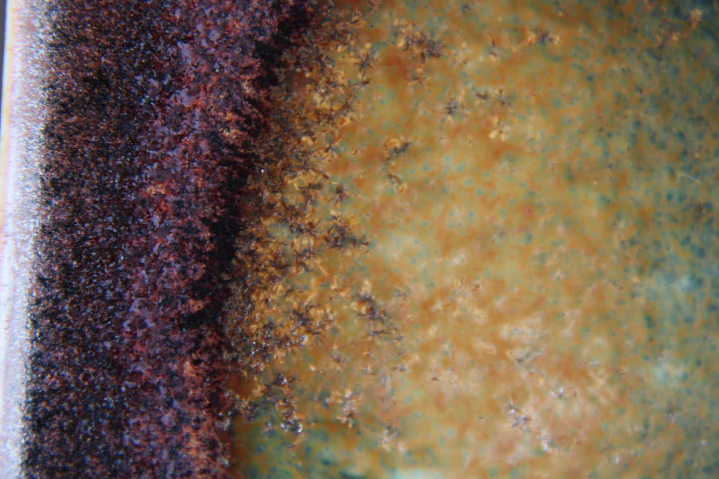 sushi plate with tenmoku glaze detail view